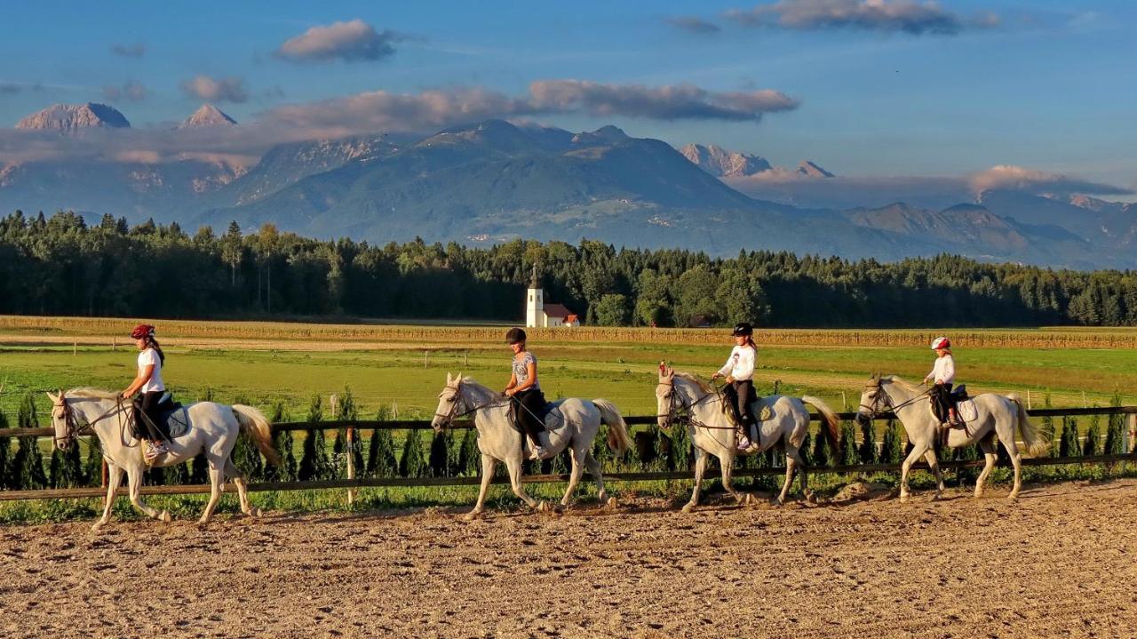 Hotel Baron Smlednik Bagian luar foto